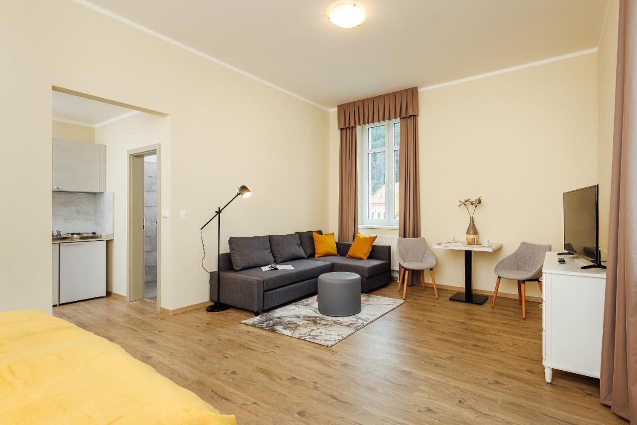 Apartmanovy Dom Grand - Contactless Check In トレンチアンスケ・テプリツェ エクステリア 写真